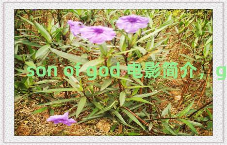 son of god 电影简介，god's not dead电影